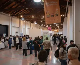 San Juan distinguió a los mejores elaboradores del dulce de membrillo rubio