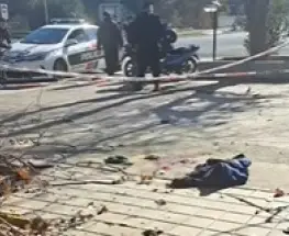Un hombre cayó mientras podaba un árbol y fue llevado al Hospital Rawson
