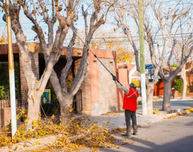 Rivadavia mantiene el plan de poda urbana con intervenciones técnicas y gratuitas