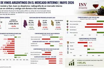 Mendoza resiste y San Juan se desploma: radiografía de un mercado interno del vino que se contrae y castiga con dureza a los varietales