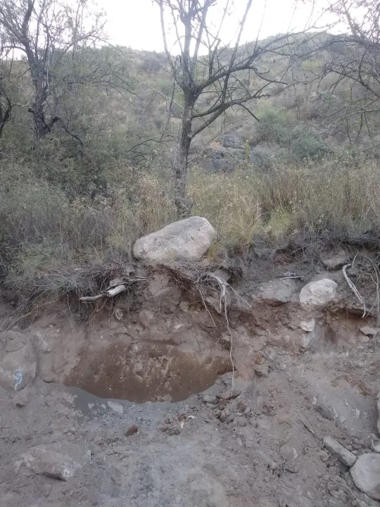 Restos óseos en Valle Fértil.jpeg