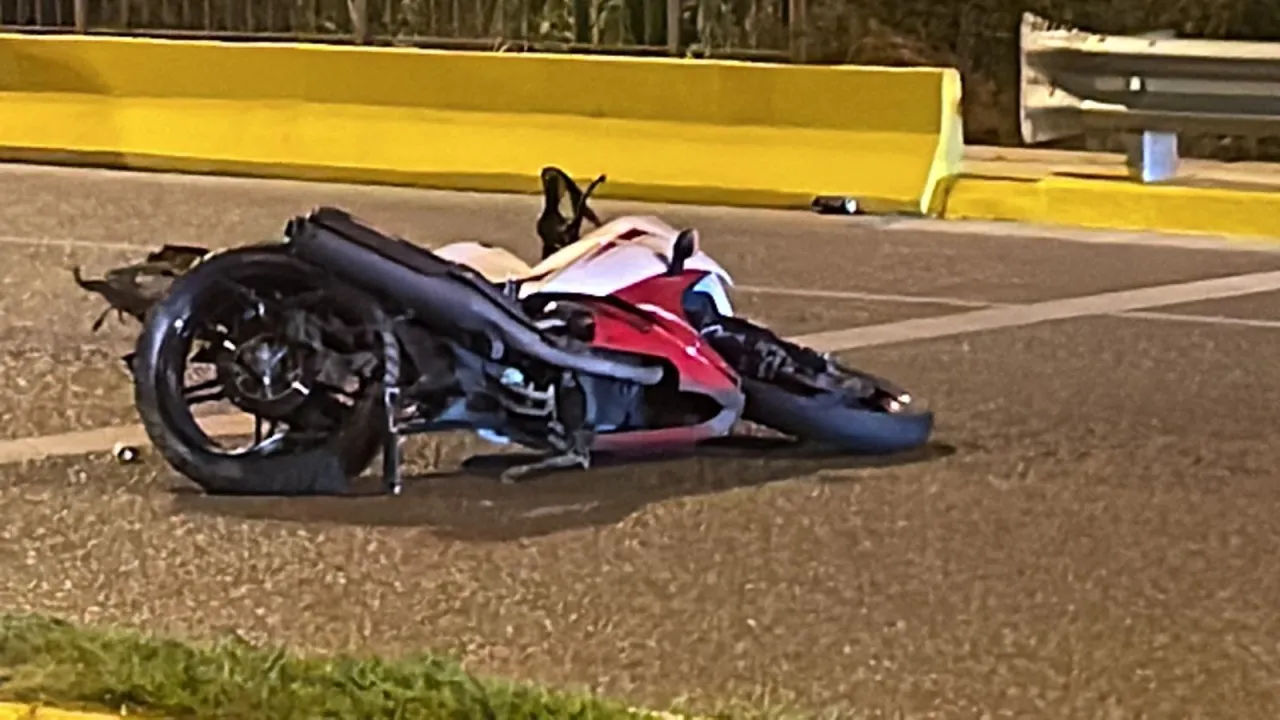 tragedia en el pinar