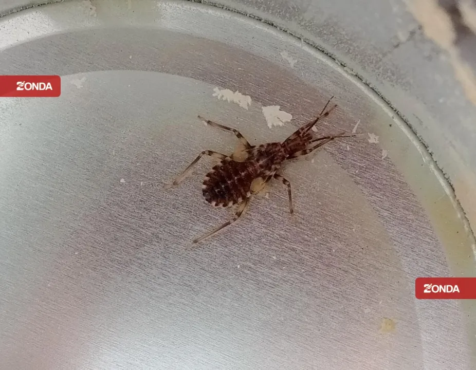 WhatsApp Image 2023-05-16 at 8.54.39 PM.jpeg