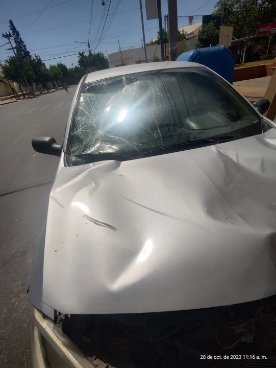 WhatsApp Image 2023-10-28 at 5.07.35 PM (1).jpeg