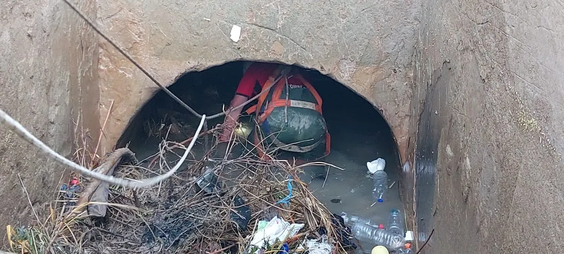 WhatsApp Image 2023-11-05 at 7.49.06 AM.jpeg