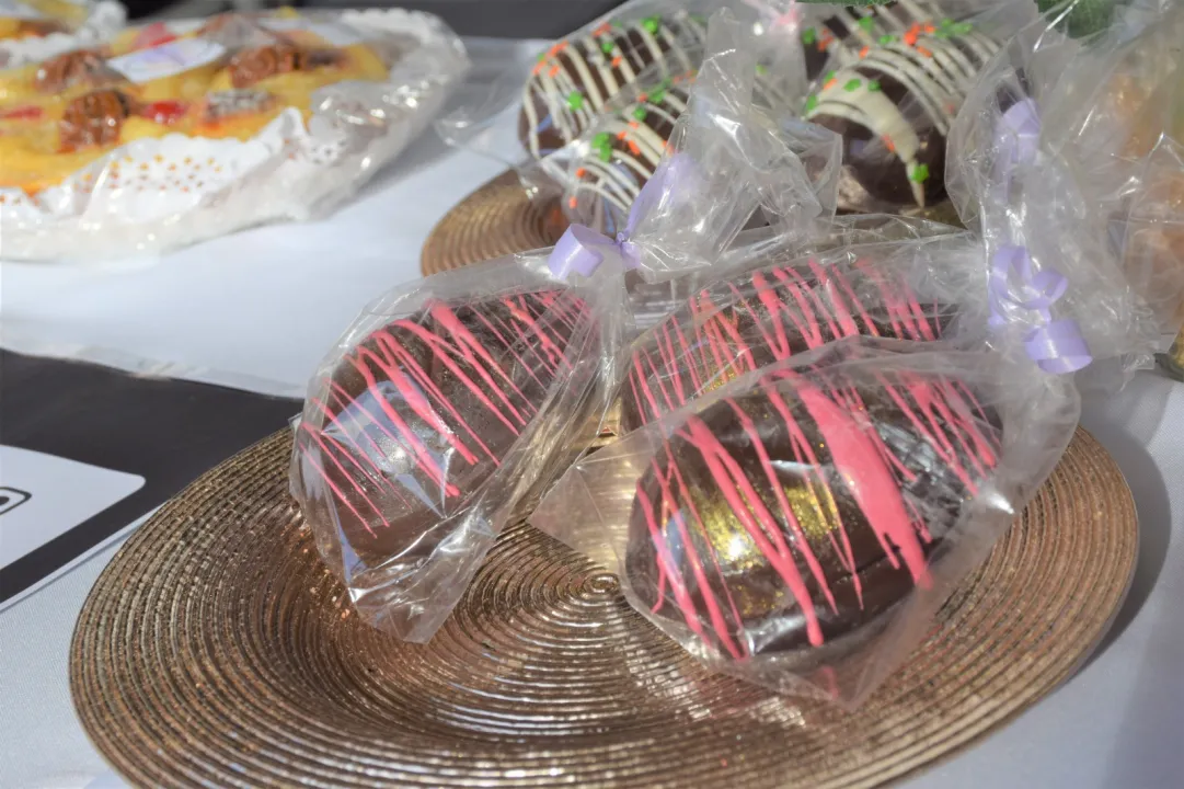 WhatsApp Image 2024-04-01 at 5.10.09 PM.jpeg