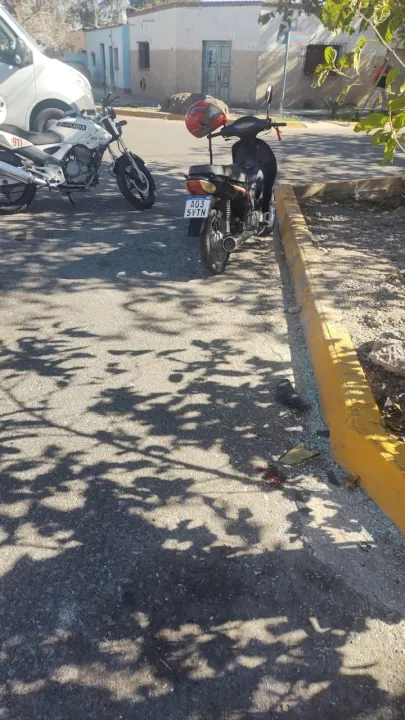 WhatsApp Image 2024-04-26 at 12.14.48 PM.jpeg