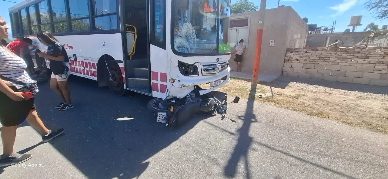 586efc8b-2f8b-4c63-a441-1d72cd751654.jfif