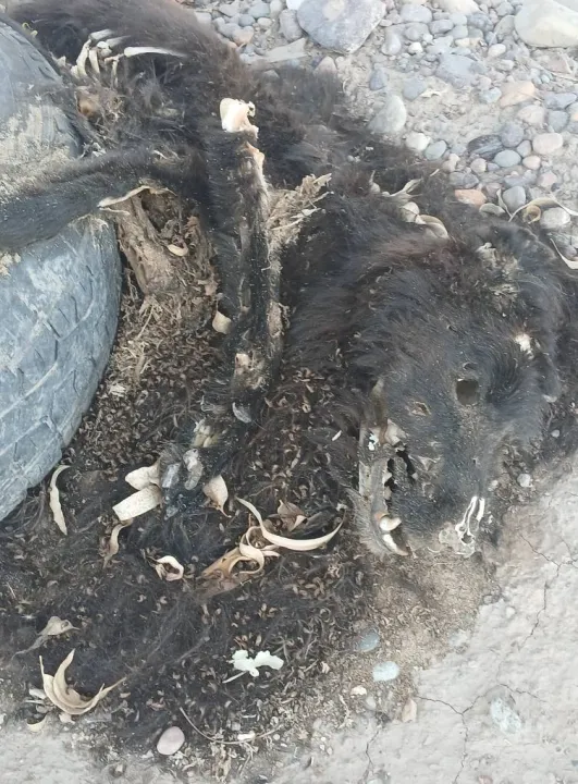 487550341_1894717117933019_8058013062285601543_n - copia.jpg