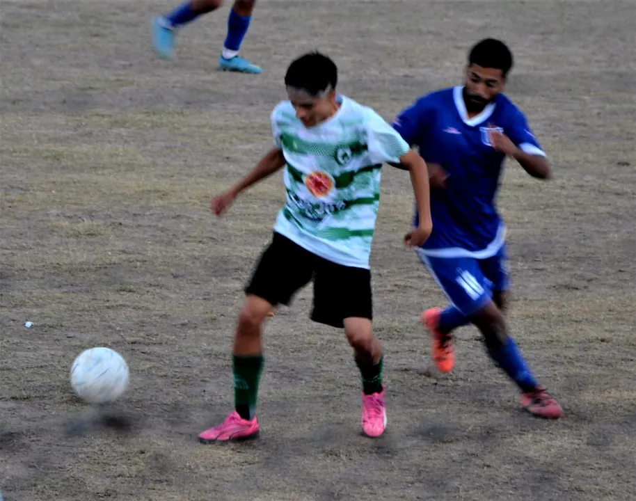 Arbol Verde Union de Villa Krause (7).jpeg