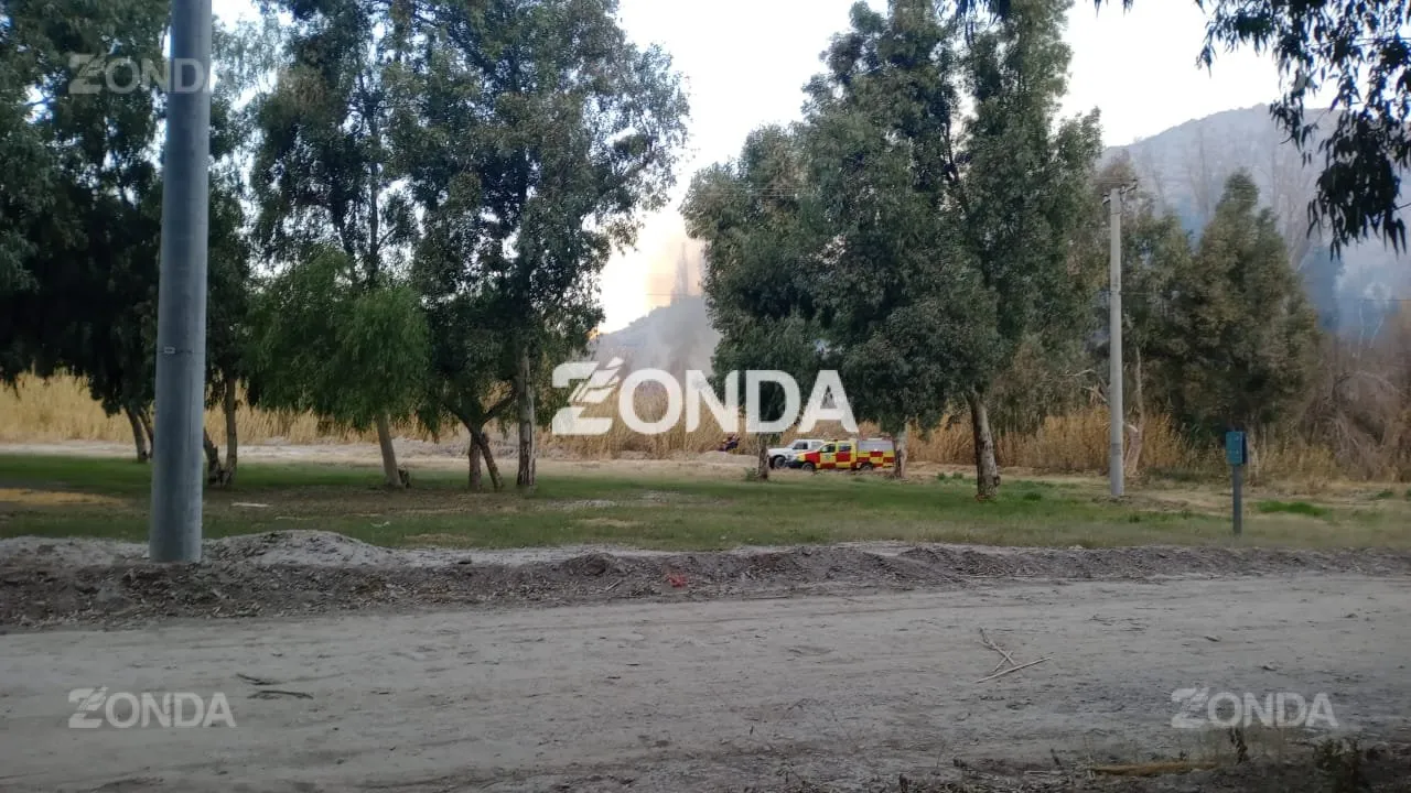 Incendio de un cañaveral frente al Jardín de los Poetas. 