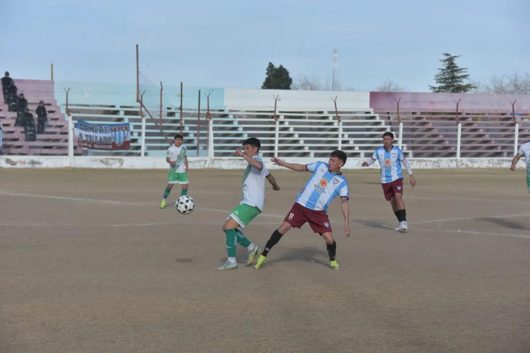 WhatsApp Image 2025-08-03 at 5.32.55 PM.jpeg