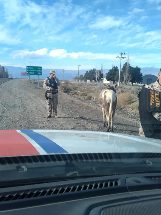 a0d9b303-e60b-48fb-a060-0c830d5e94d8.jfif