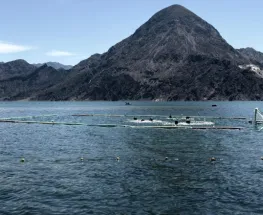 El dique Punta Negra será sede de un inédito torneo de waterpolo beach