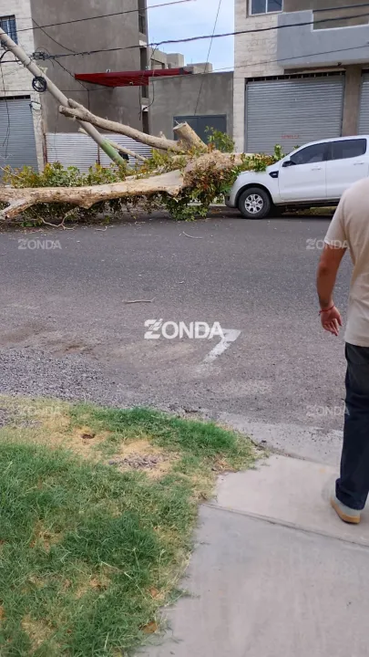 WhatsApp Image 2026-03-20 at 18.13.51 (2).jpeg