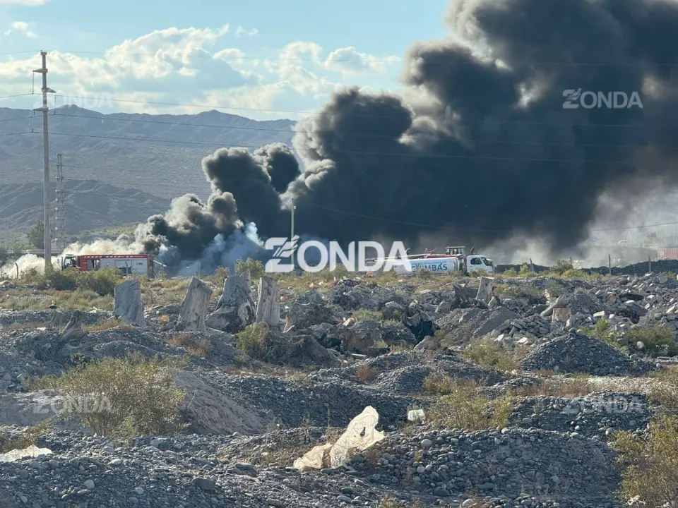 WhatsApp Image 2026-03-31 at 17.52.43.jpeg