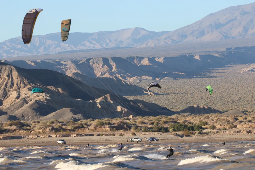 WhatsApp Image 2026-04-02 at 22.19.42.jpeg