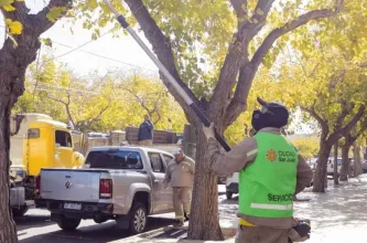 Arbolado público: la Ciudad intensifica tareas del 13 al 19 de abril