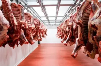 Carne: suben exportaciones y precios en medio de la recuperación del sector