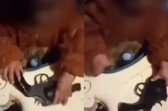 Detuvieron en La Plata a una mujer tras un video de su bebé con un arma