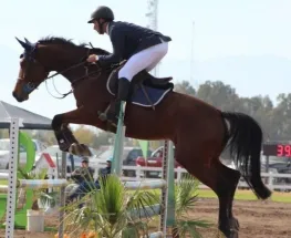 El Jockey Club San Juan albergará el Cordillerano 2026 de salto hípico