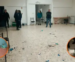 Dijeron que era un cumpleaños de 15, pero encontraron una fiesta clandestina con más de 100 menores