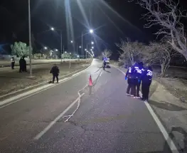 Un motociclista murió tras chocar contra un árbol en Avenida Ignacio de la Roza