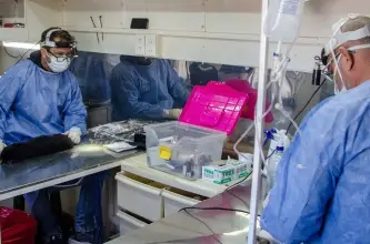 San Juan realizará una jornada gratuita de esterilización y vacunación en el Parque de Mayo