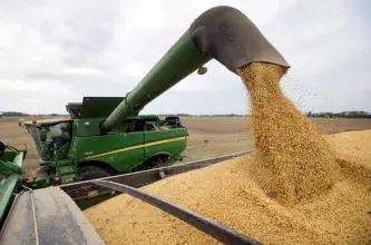 La cosecha de soja superó las 50 millones de toneladas y se ubicó 19% por encima del promedio histórico