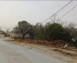Fuertes ráfagas dejaron árboles caídos y cortes de cables en Valle Fértil