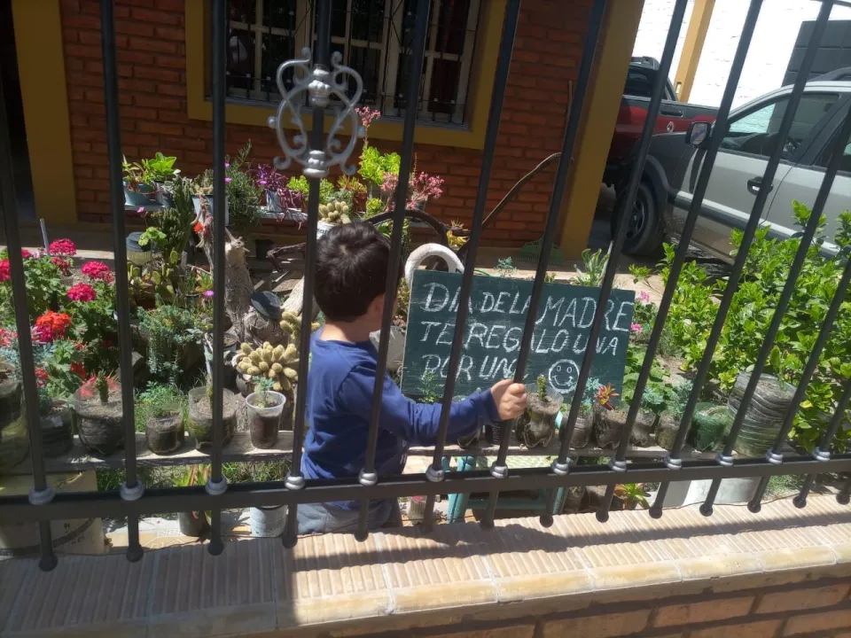 Benjamín, regala plantas a cambio de sonrisas