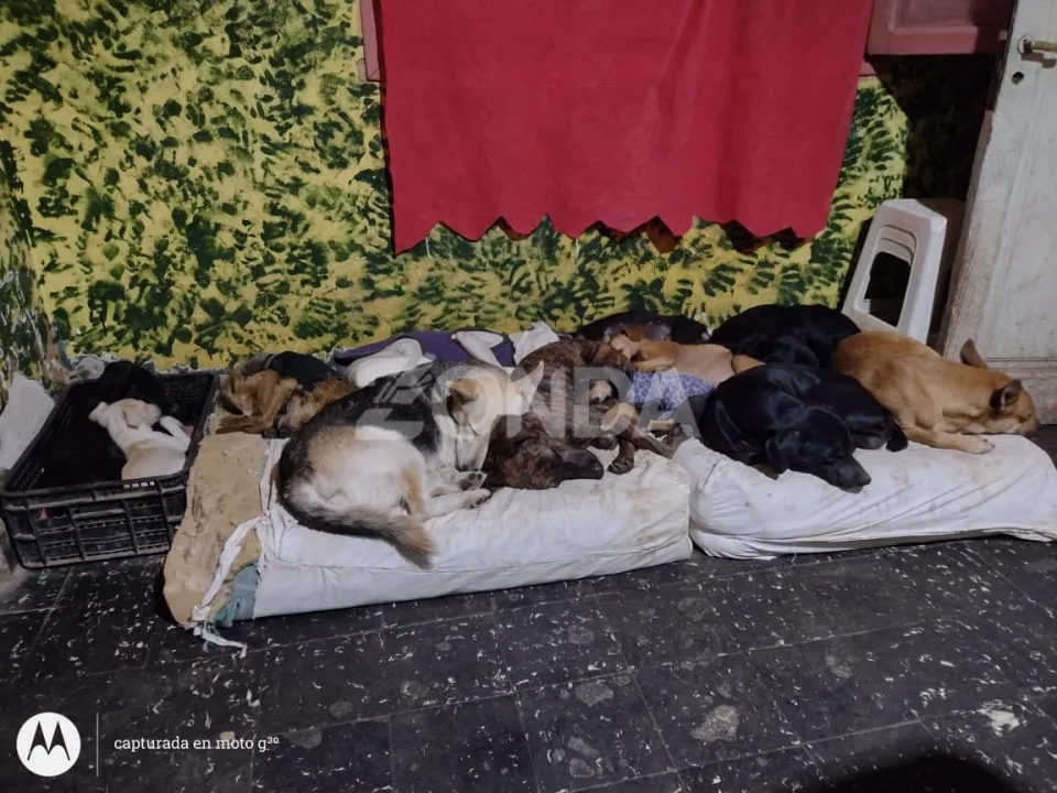 Sala de Emergencias SJ (1).jpg