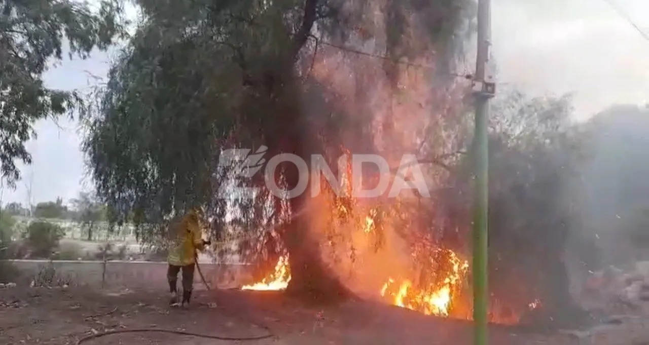 Incendio en Pocito