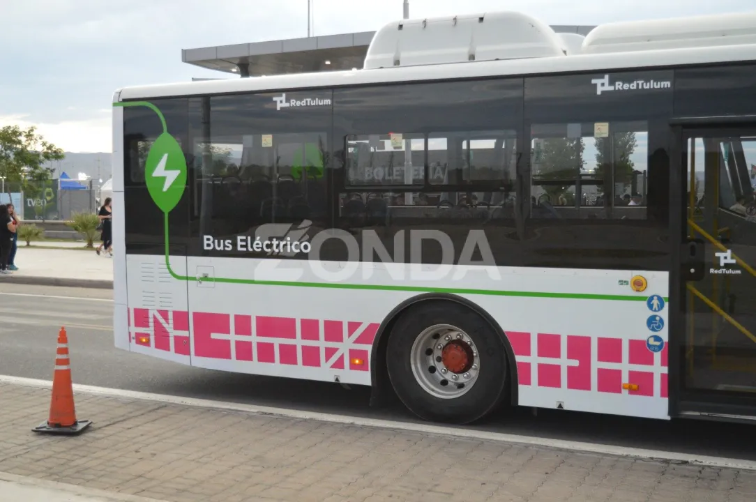 colectivo en la FNS (2).jpg