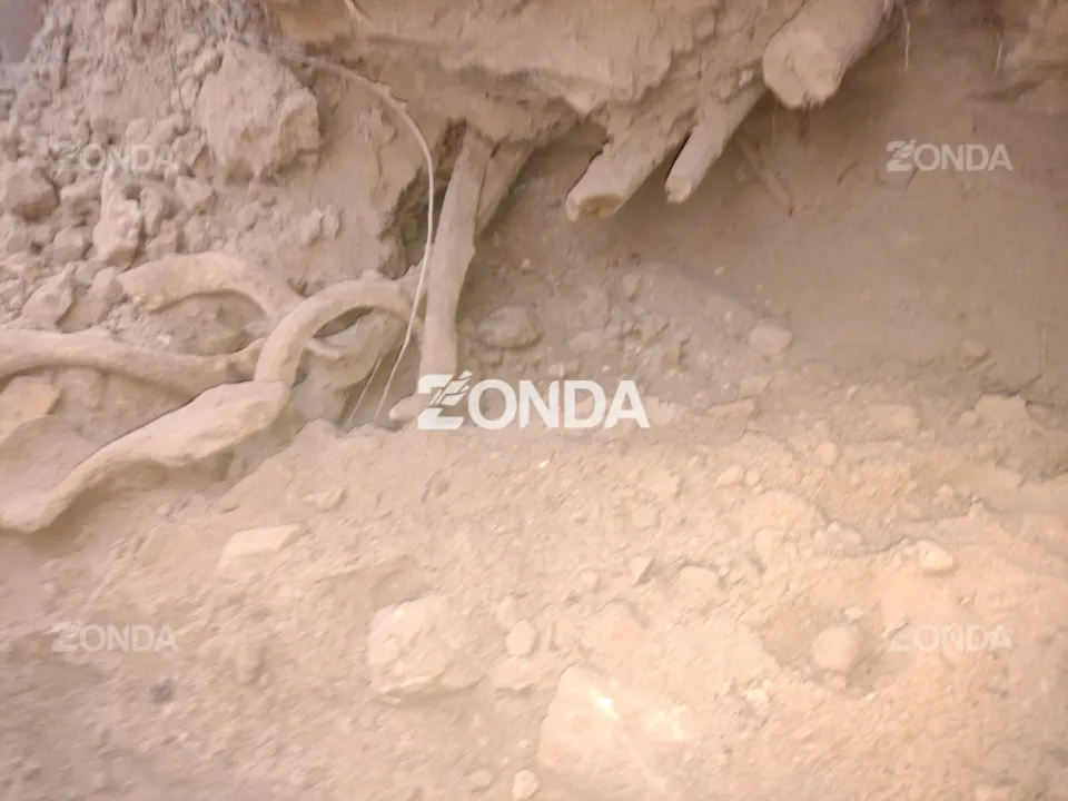 restos óseos huarpes