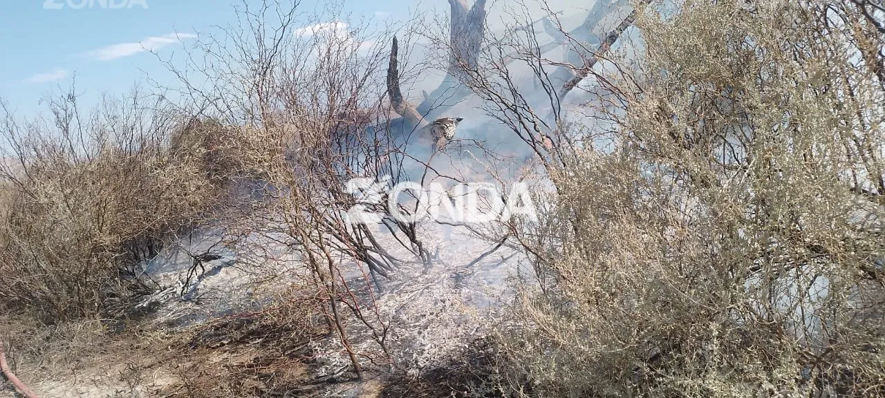 Incendio en Zonda, cerca del Parque Sarmiento