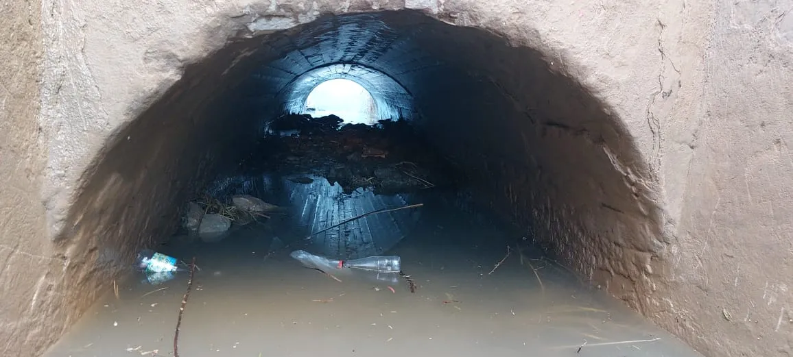 WhatsApp Image 2023-11-05 at 7.49.06 AM (1).jpeg