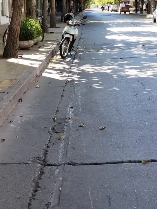 WhatsApp Image 2024-04-27 at 11.54.17 AM (3).jpeg