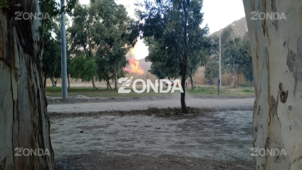 Incendio de un cañaveral frente al Jardín de los Poetas. 