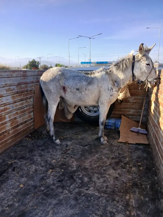 842d3f1d-028c-4cbb-935a-8d2759143883.jfif