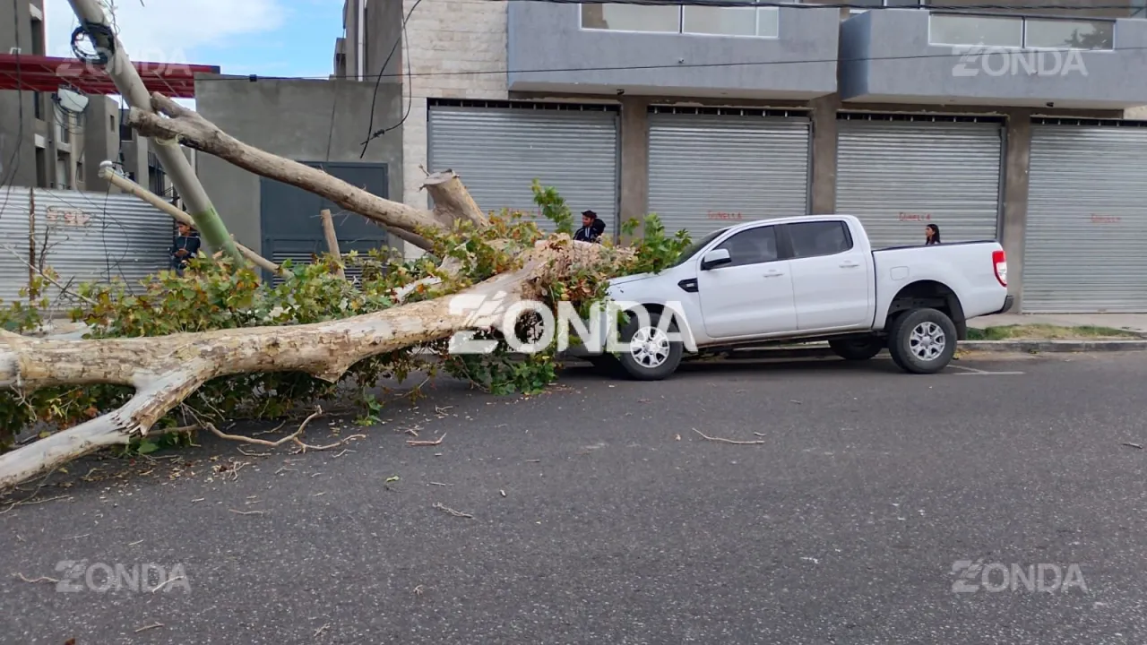 WhatsApp Image 2026-03-20 at 18.13.51 (1).jpeg