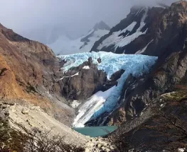 Carta abierta a los Diputados de la Nación