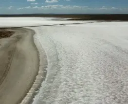 Mendoza elevó a la Legislatura la DIA del proyecto de litio Don Luis y Otro