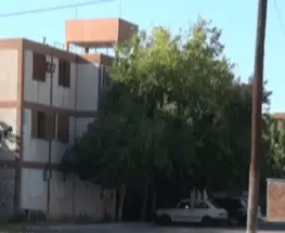 La pesquisa por la muerte del perro en Rivadavia corrigió el lugar del hecho y el acusado sigue libre